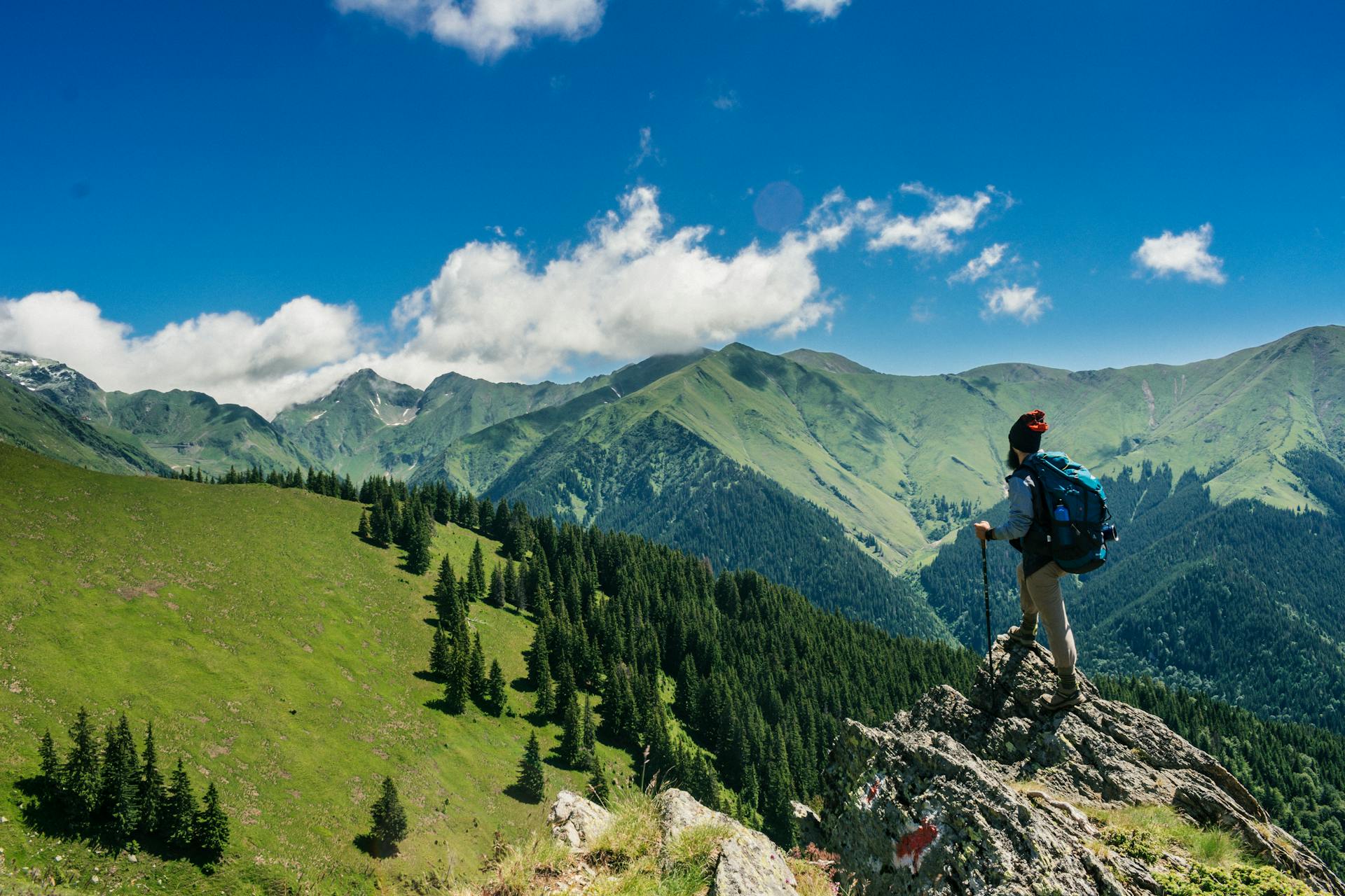 Chalet de Torgon en été, paysage alpin